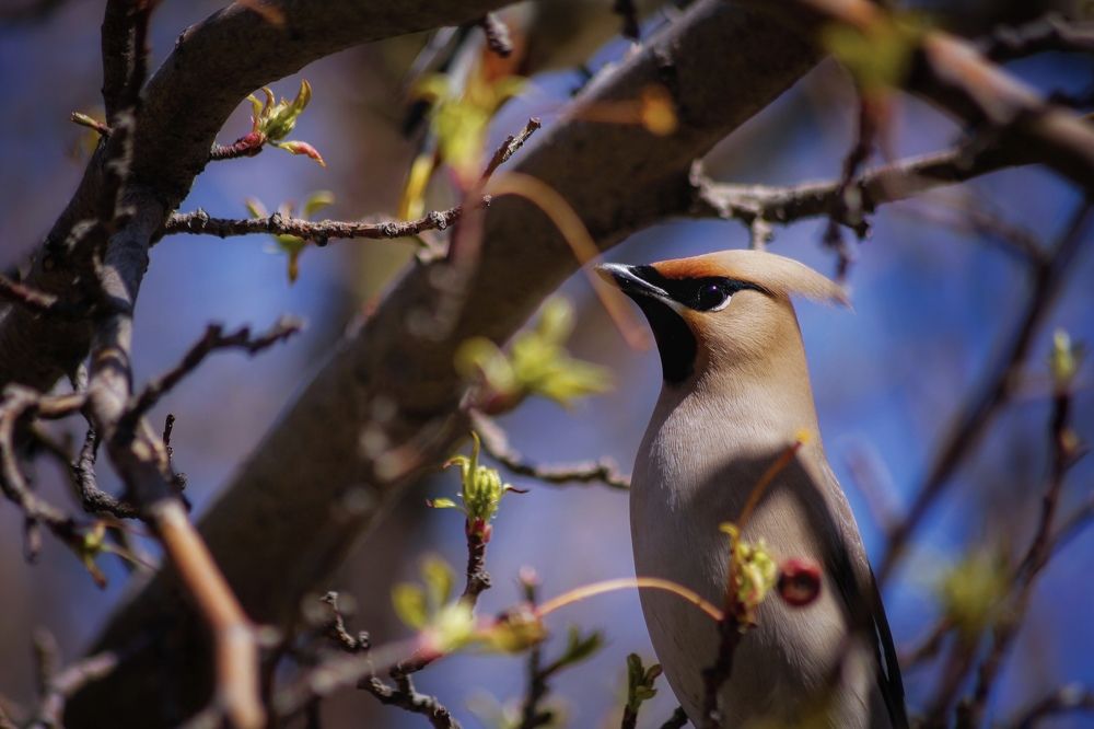 Photograph by Анастасия Астафьева
