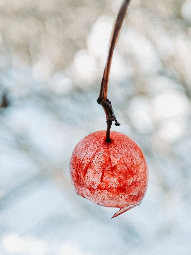 Photograph by Александра Петрова