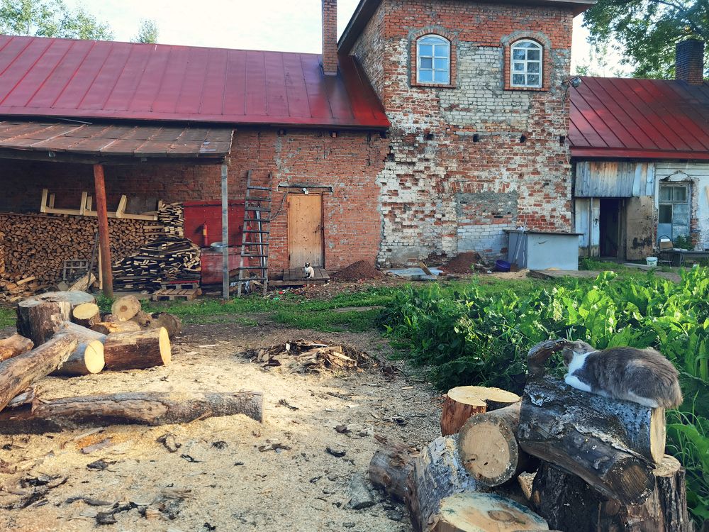 Photograph by Серафима Силина