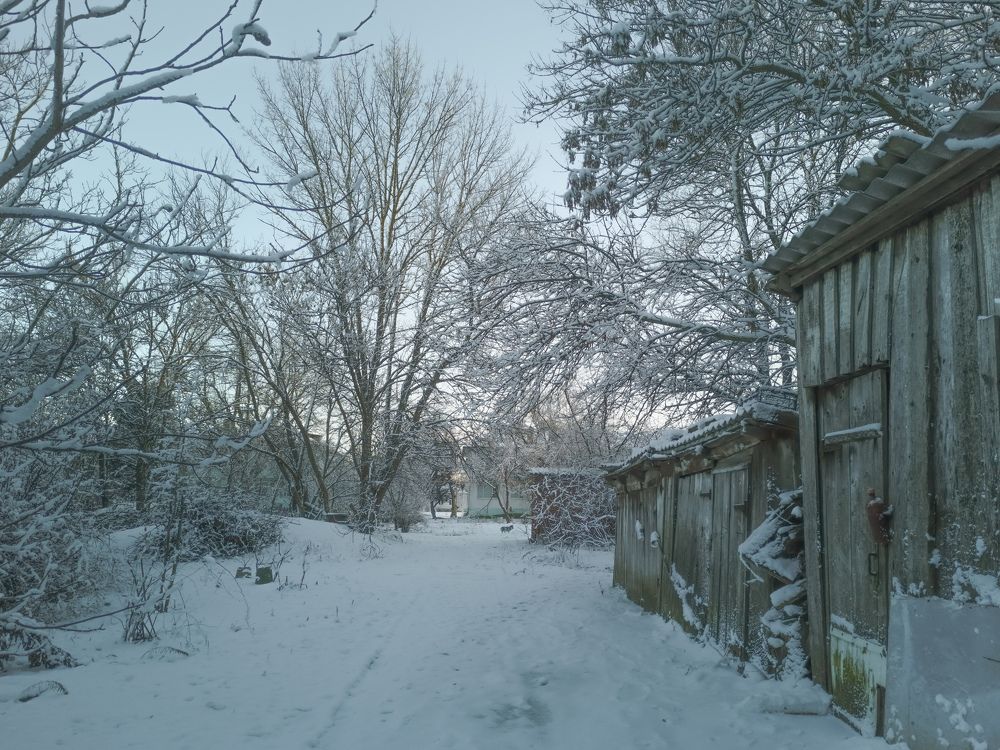 Фотография автора OXANA MARSOVA