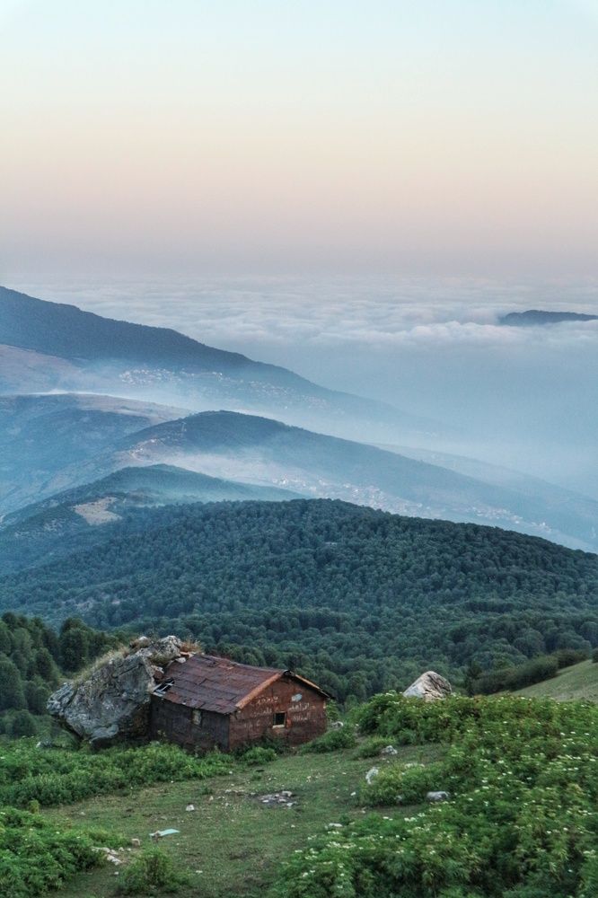 Photograph by Seyed-Sajad Hamedheydari