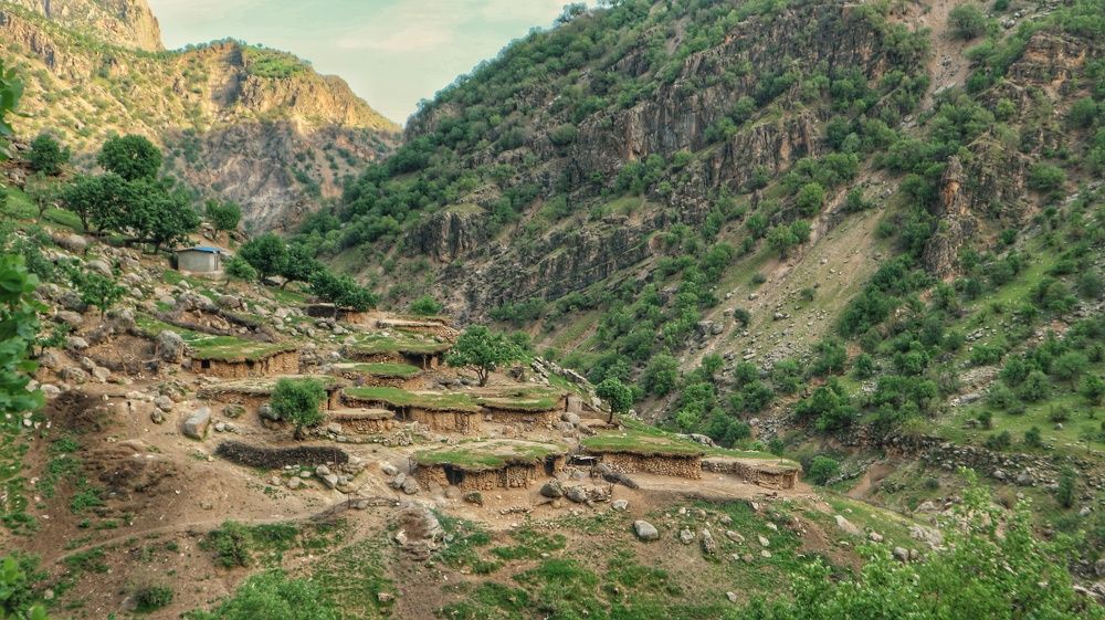 Photograph by Seyed-Sajad Hamedheydari