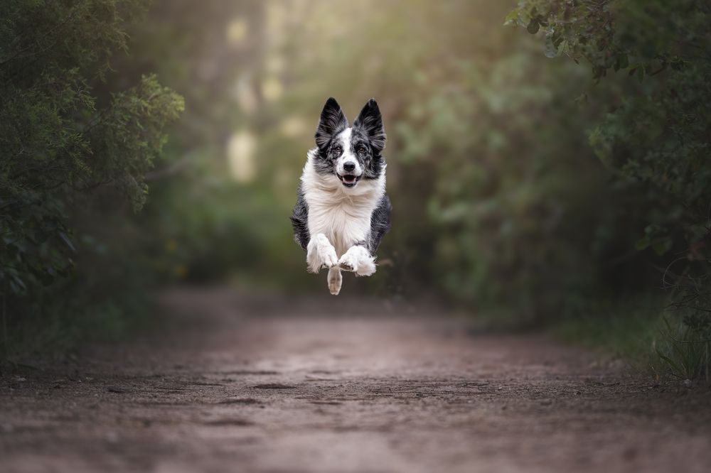 Фотография автора Rut Casanellas