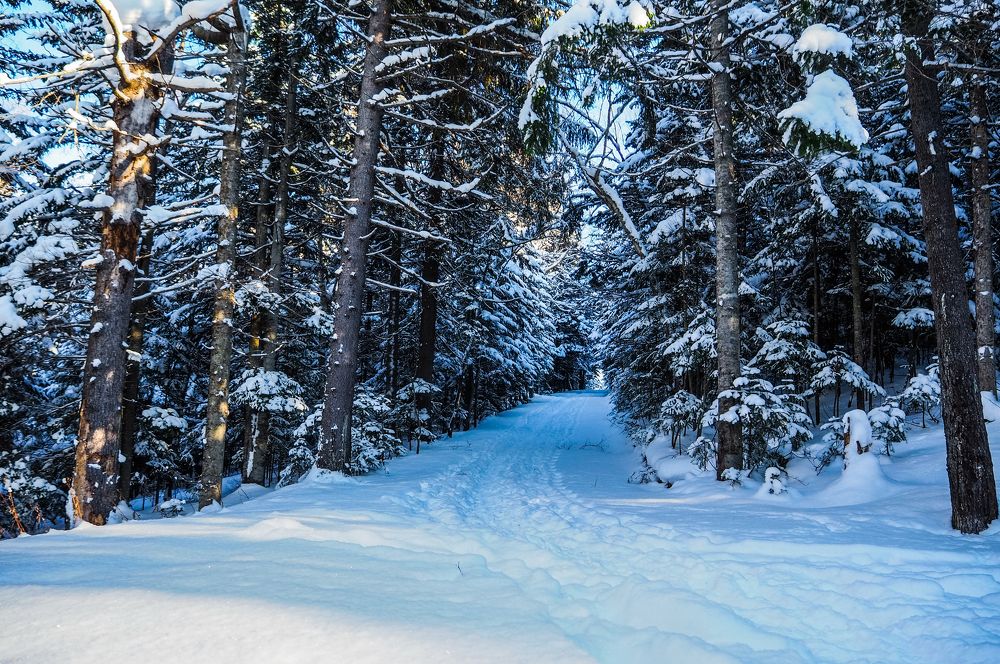 Фотография автора Olena Vorotyntseva