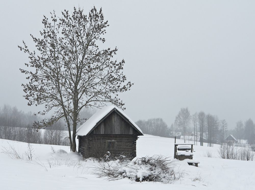 Photograph by Juris Buklovskis