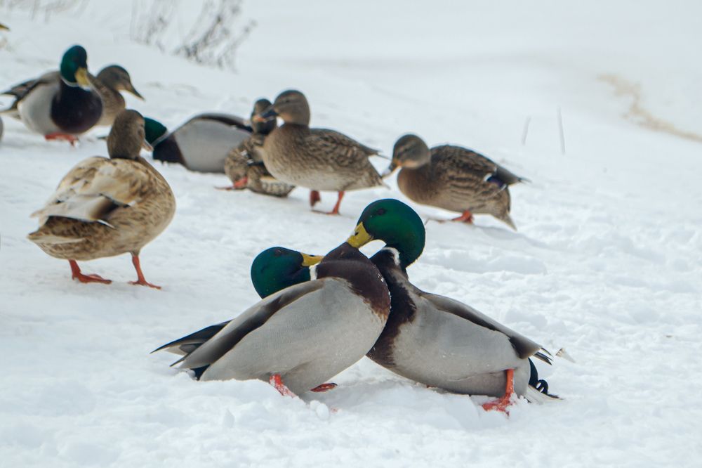 Фотография автора Владислав Базылев