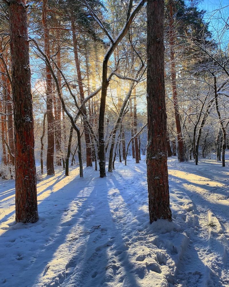 Photograph by Александр Соловьев