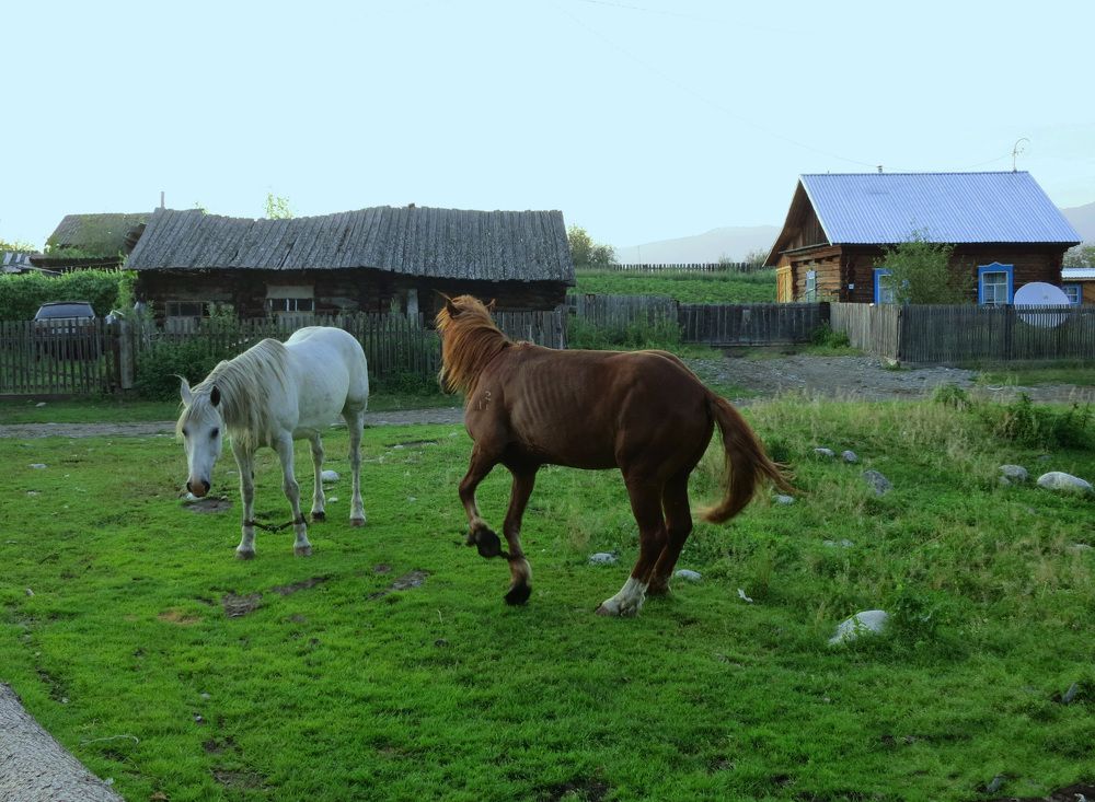 Photograph by София Гавриловна Вотякова