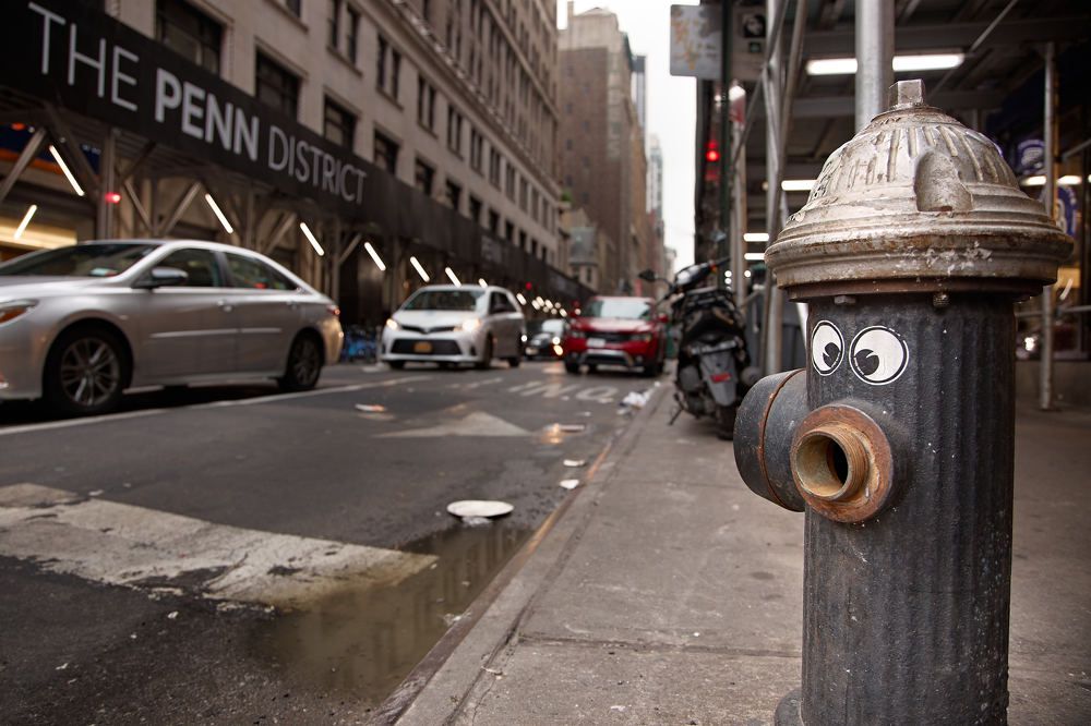 Photograph by Ilia Rozhnov