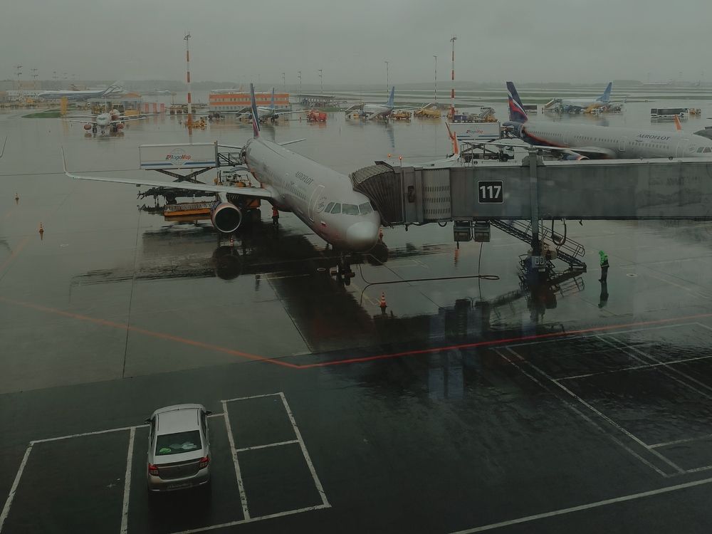 Фотография автора OXANA MARSOVA