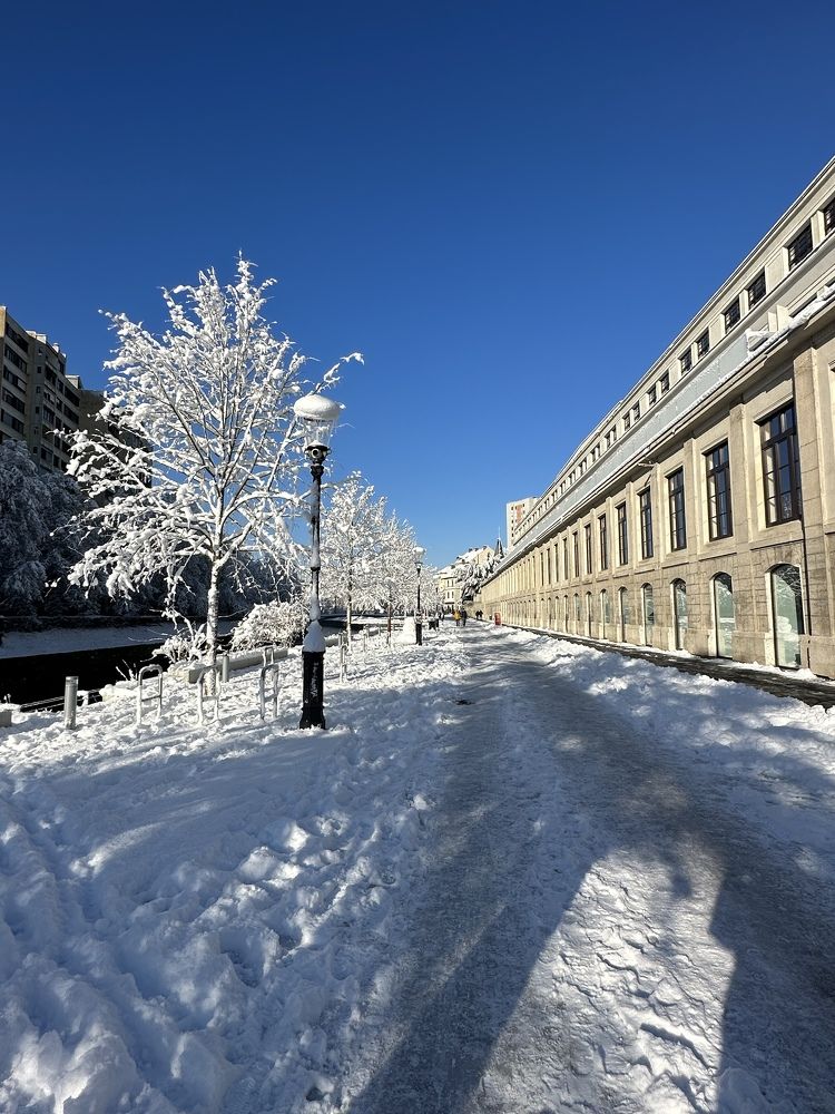 Photograph by Elena Pozdorovkina