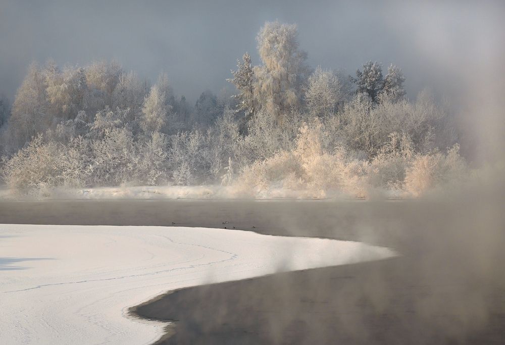 Photograph by Александр Попов