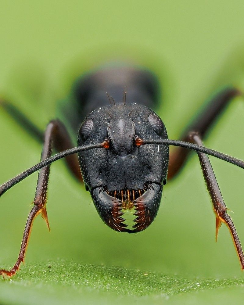 Photograph by Hardeep Solanki