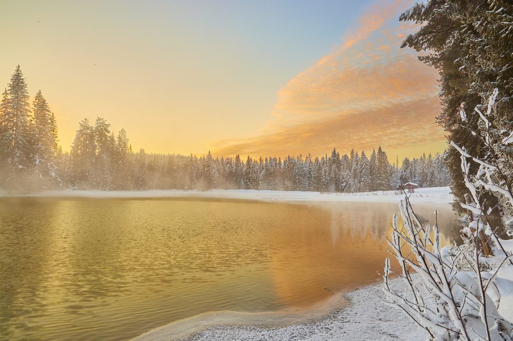 Photograph by Дмитрий Пасынков