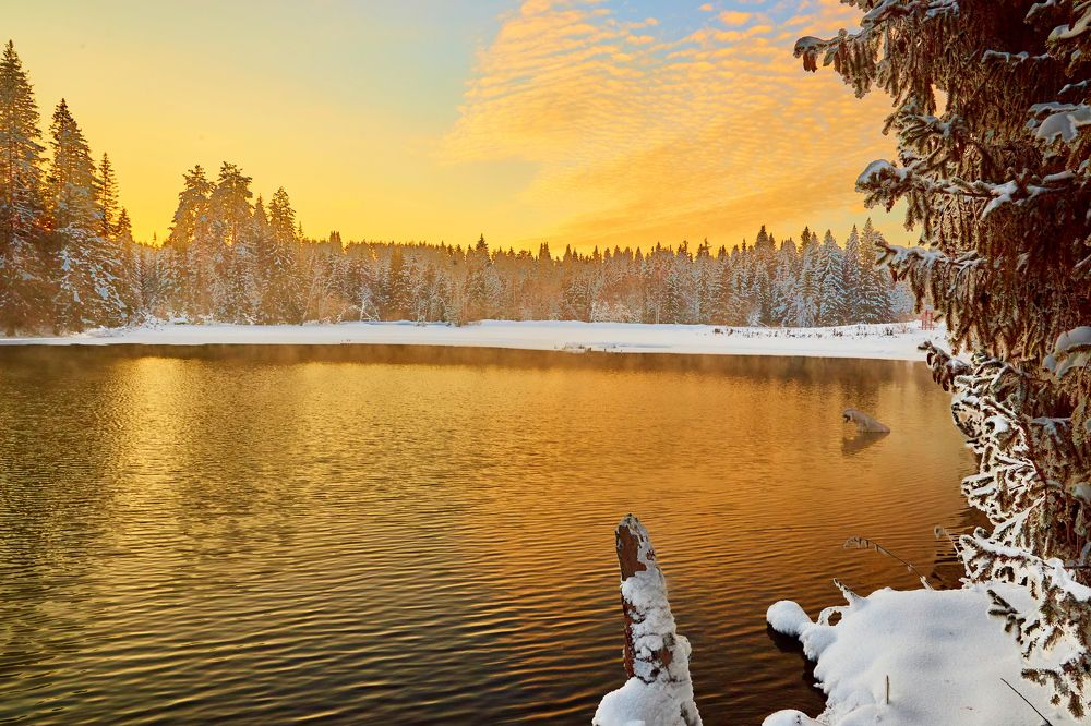 Photograph by Дмитрий Пасынков