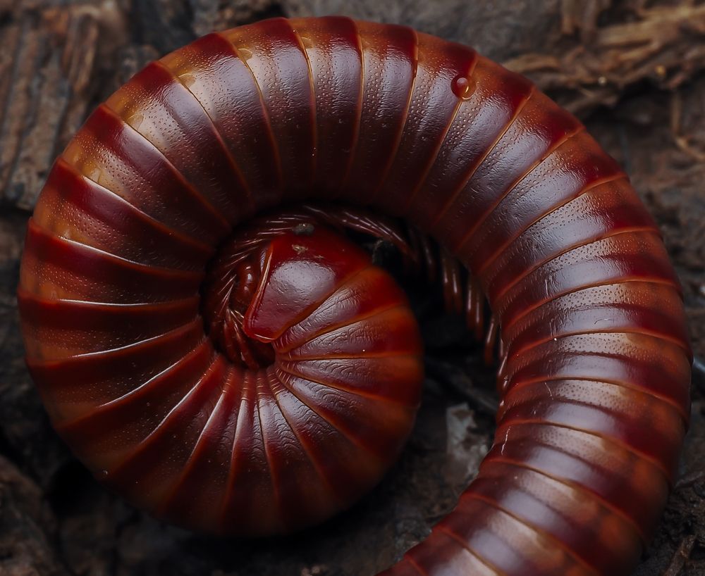 Photograph by Hardeep Solanki