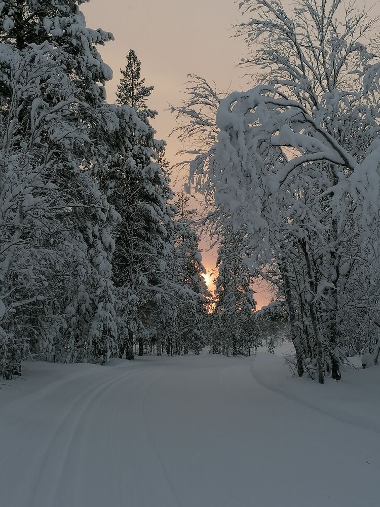 Photograph by Надежда Тимакова