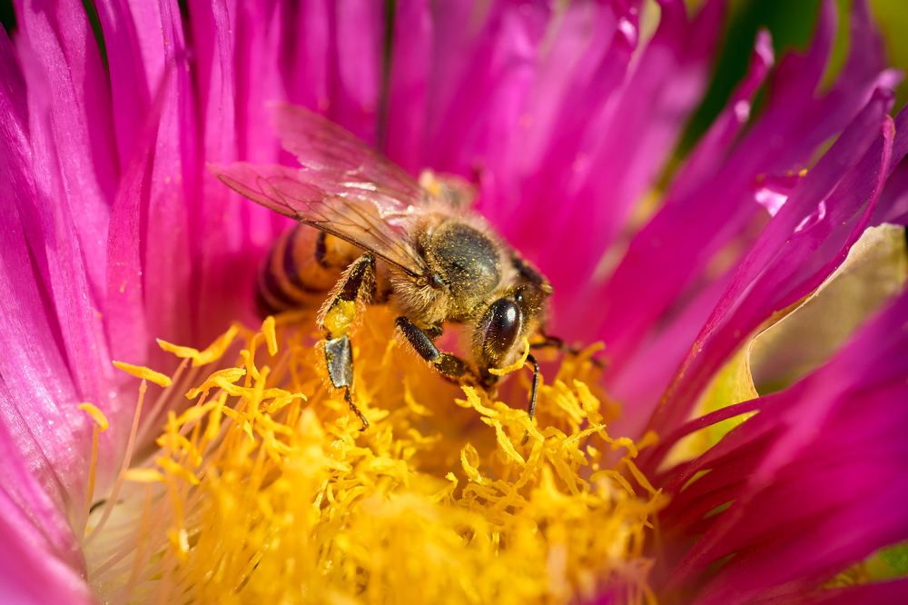 Photograph by Ilia Rozhnov