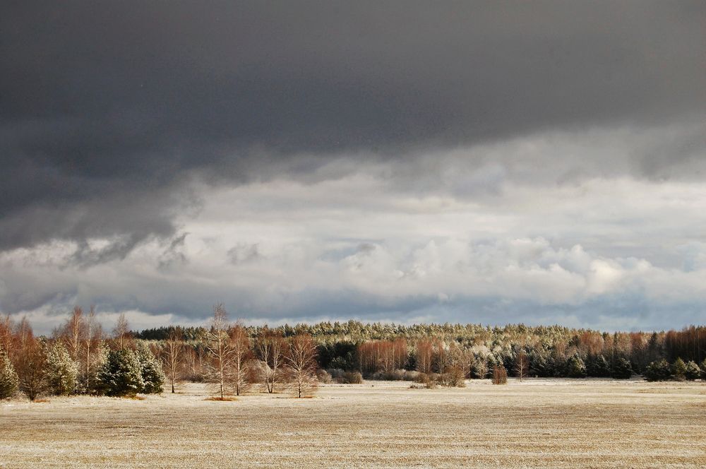 Photograph by Майя Синичкина