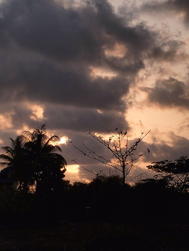 Photo #10145556