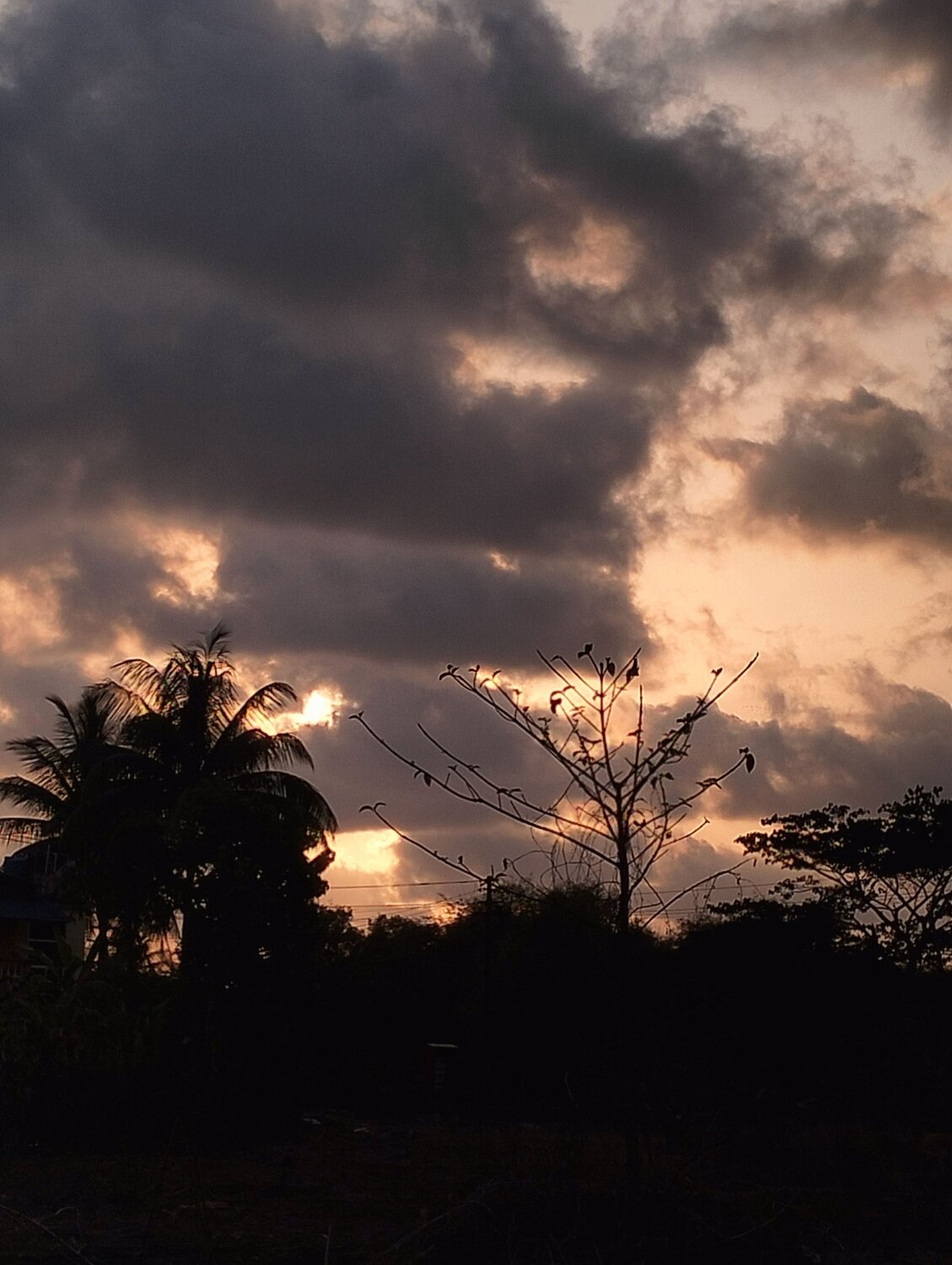 Photo #10145556