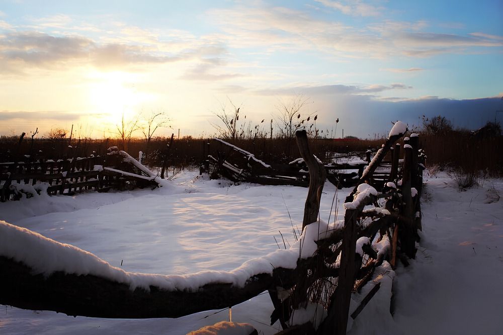 Photograph by Анна Бухарина