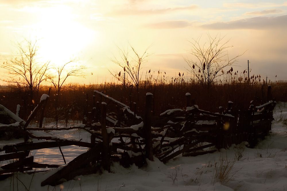 Photograph by Анна Бухарина