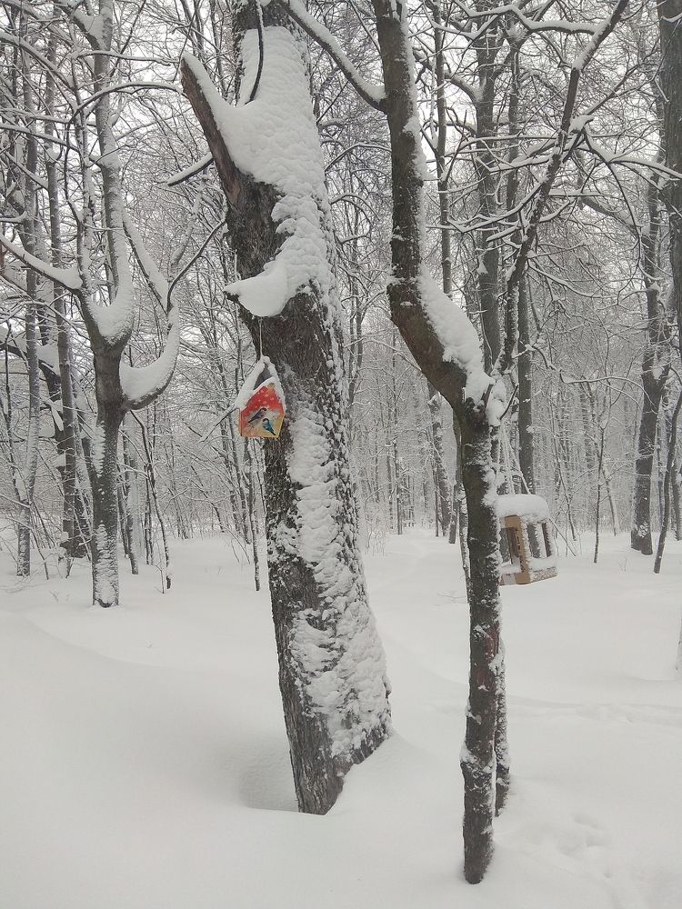 Photograph by Татьяна Кунц