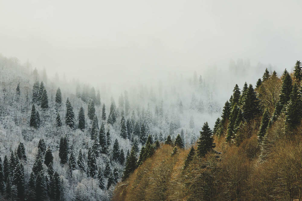 Photograph by Giorgi Begadze