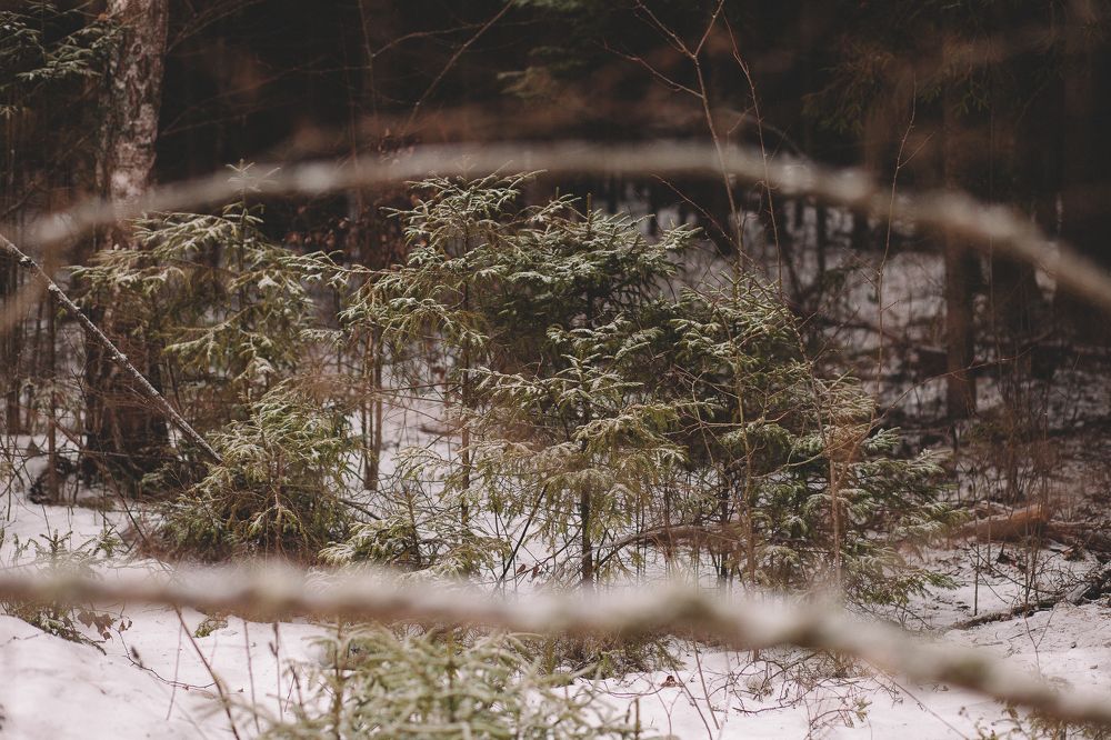 Photograph by Натали Захарова (Тай)