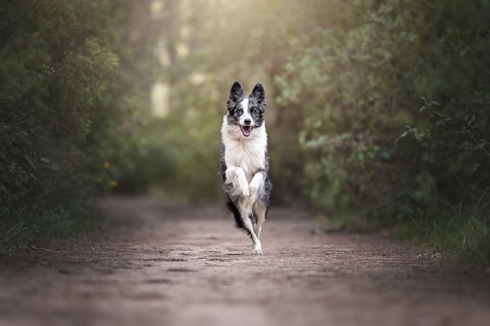 Фотография автора Rut Casanellas