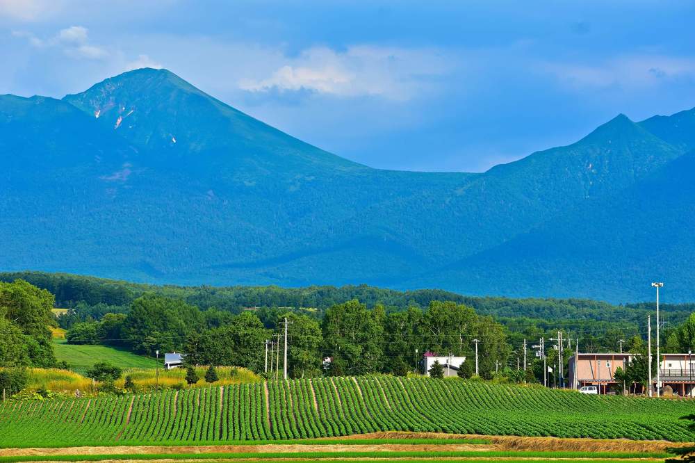 Фотография автора Sen Abhijit