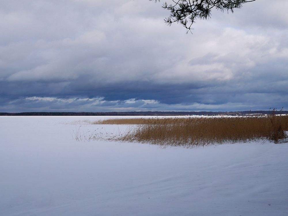 Photograph by Серафима Силина