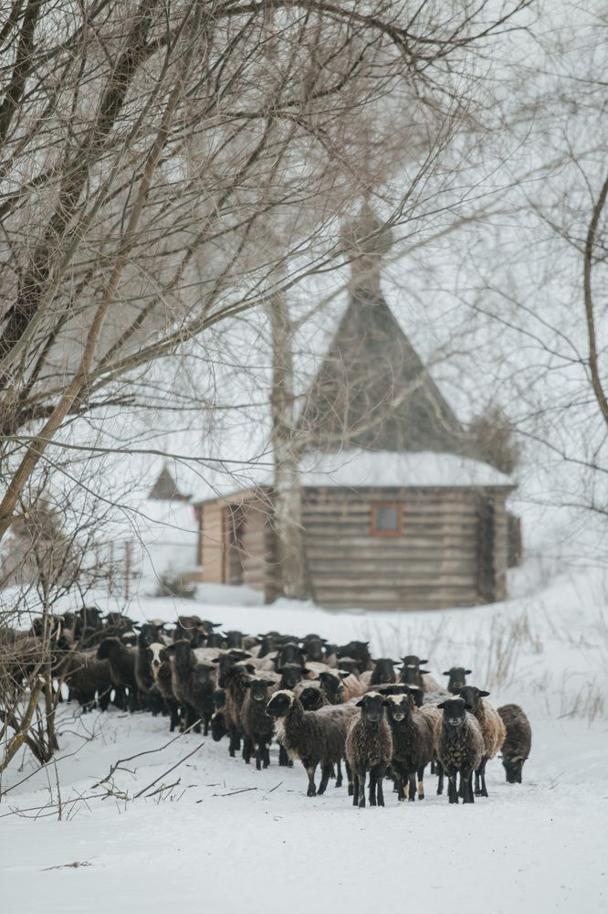 Photograph by Evgeny Kachurin