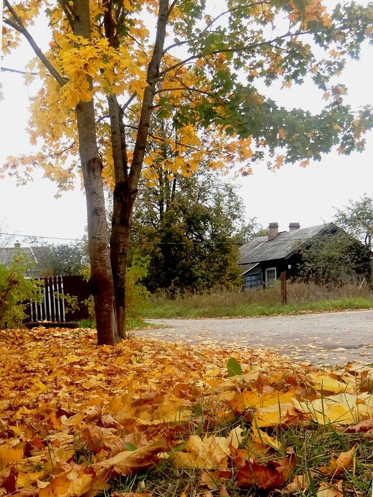 Photograph by Татьяна Красавцева