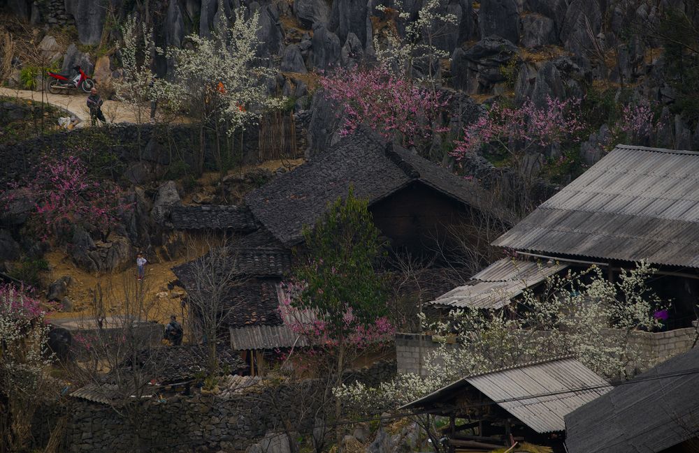 Фотография автора An Nguyen Quoc