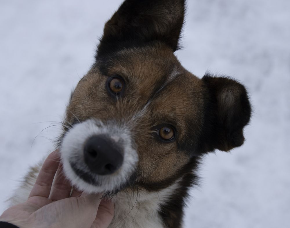 Photograph by Оксана Клюжева