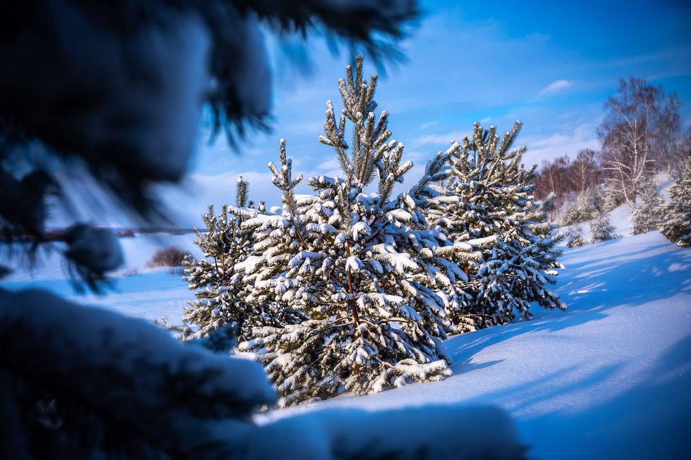 Photograph by Людмила Гуркина