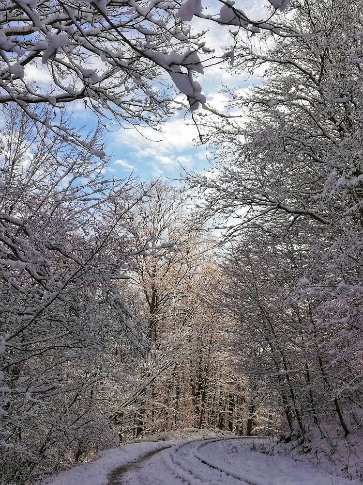 Photograph by Марина Жарикова