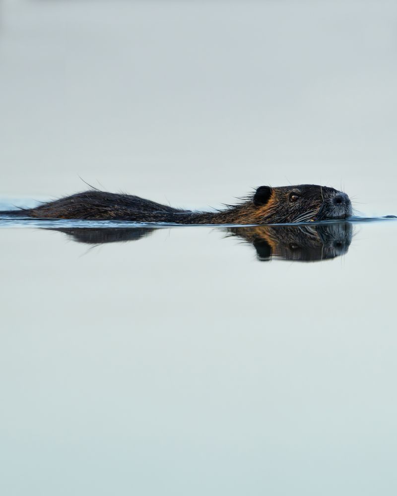 Photograph by Chris Stavrakas