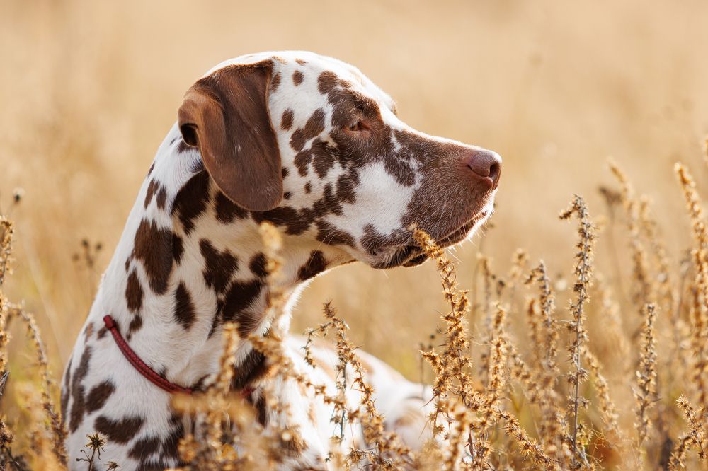 Photograph by Яна Нарбутович