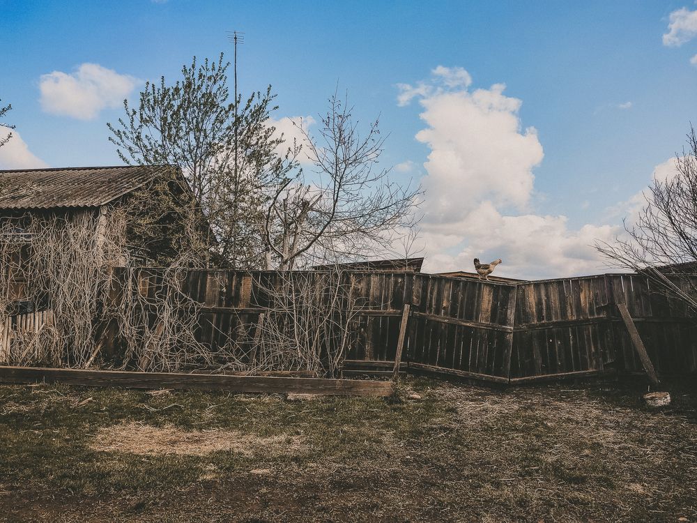 Photograph by Elena Kilina