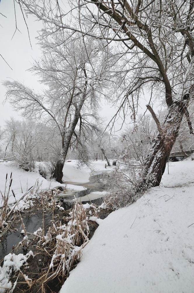 Photograph by Владимир Щеголев
