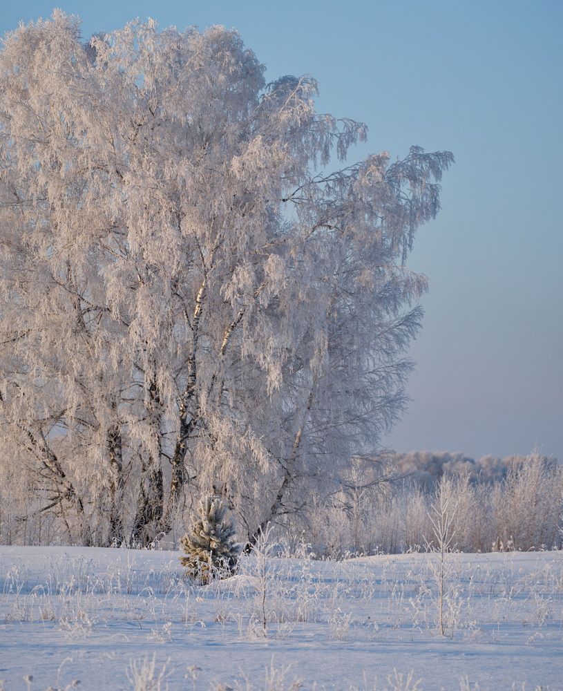 Photograph by Александр КАИ