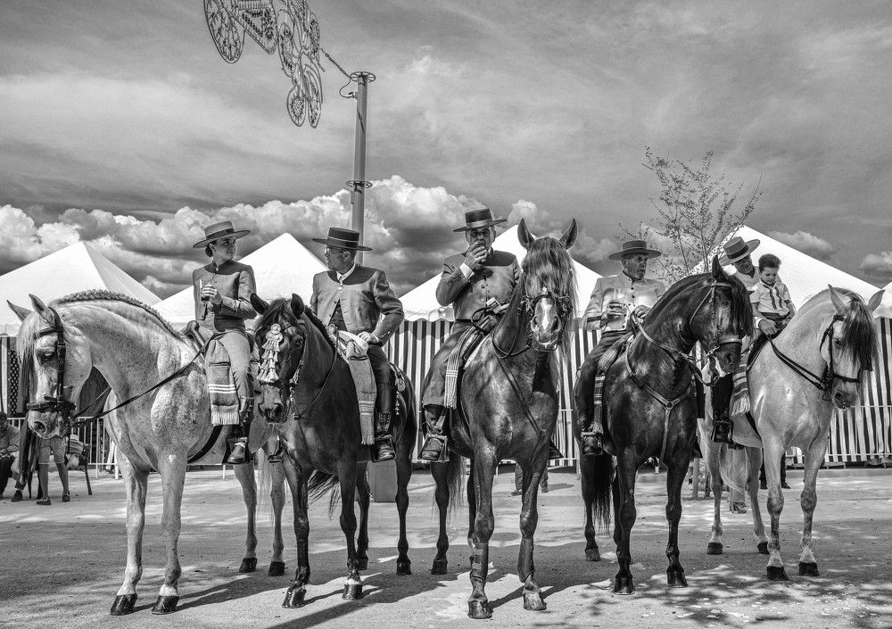 Photograph by Murcia J. A.