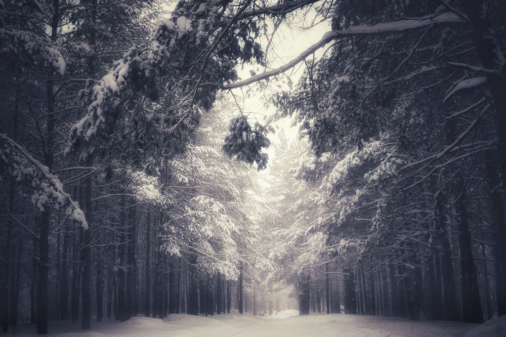 Photograph by Кира Бахвалова