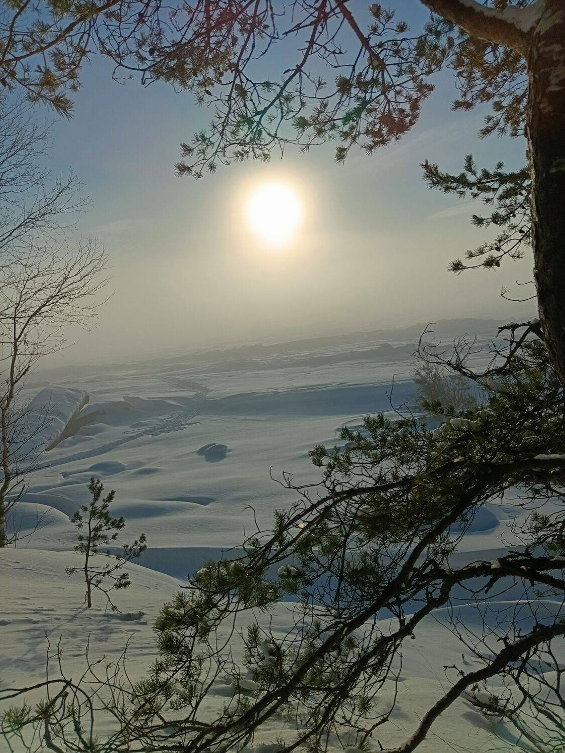 Photo #10145991