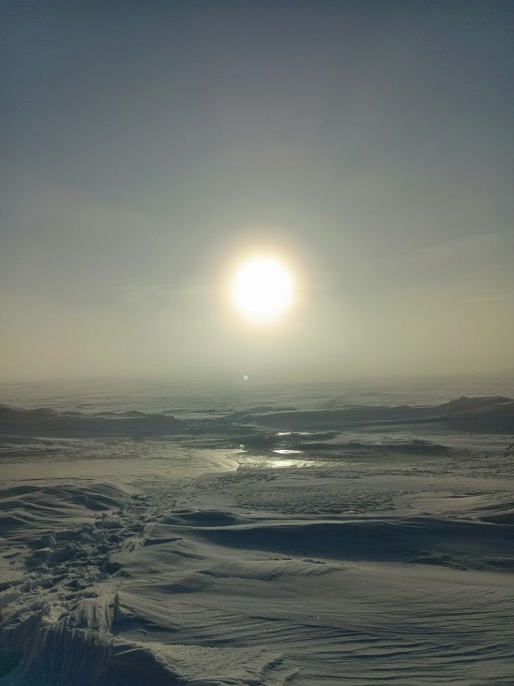 Photo #10145997