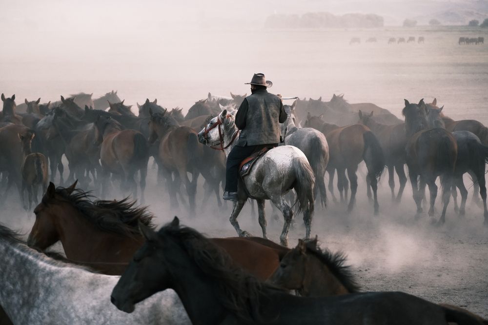 Photograph by Halil İbrahim KAHYA