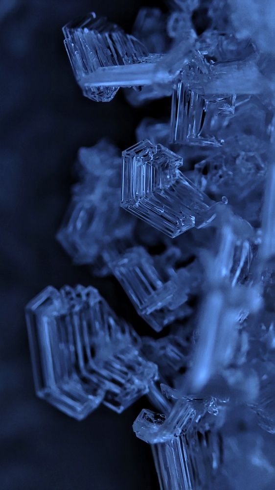 Photograph by Anastasia Malyukova